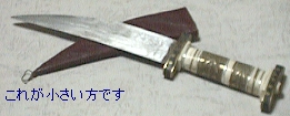 （写真）小さい方のナイフ。三日月型ではない（写真）