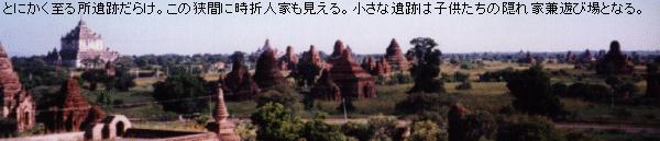 （写真）ダマヤンジー寺院も見える遺跡群。とにかく広いし、廃墟となった小さな寺院が多数ある（写真）