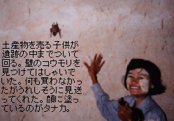 （写真）寺院の前で土産物を売っている少女が、仲間でついてきてまとわりつく。壁にコウモリがとまっていて、それを見てはしゃいでいる。顔にはタナカが塗ってある（写真）