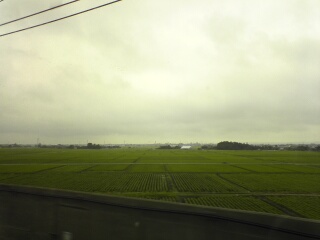＜写真＞新幹線の窓から新潟平野の水田地帯を撮す＜写真＞